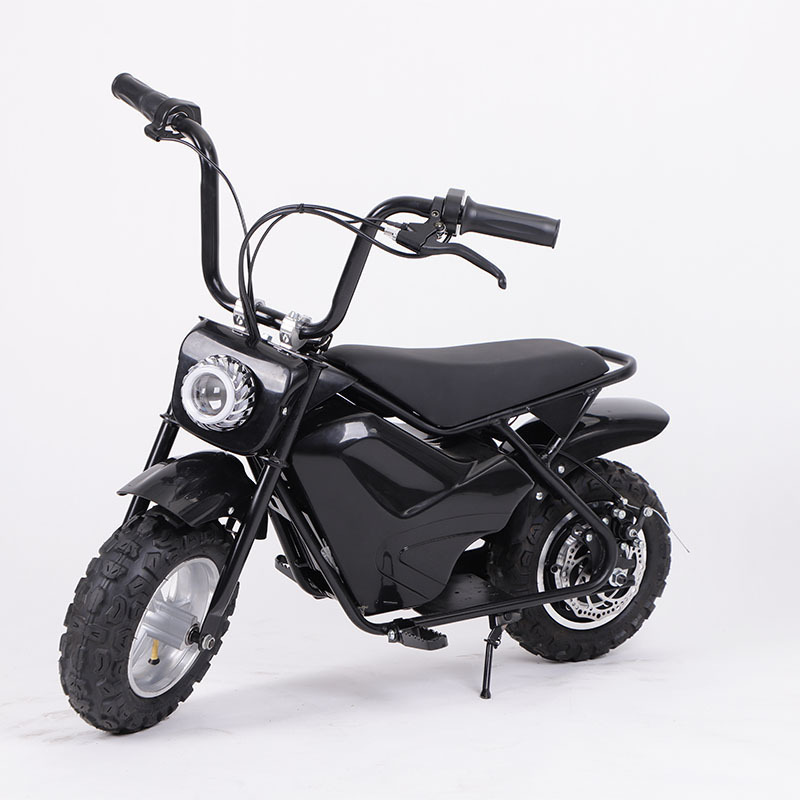 China  New Type electric scooter 2 seater 48V 350W Electric City bike with pet  EV bike with pet  E Cycle Electric Bicycle witho