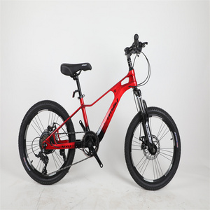 cub 20 inch with engine quadro accessories  parts  parts price cheap for sale se bike bmx velo mongoose bmx bike