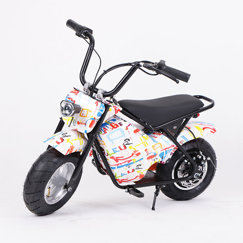 China  New Type electric scooter 2 seater 48V 350W Electric City bike with pet  EV bike with pet  E Cycle Electric Bicycle witho