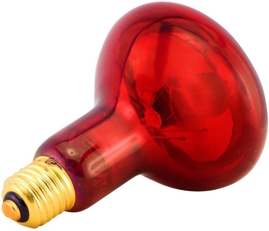 Infrared Lamp Physical Therapy Heating Light Bulb 100W ES Red Lamp E27 Base For Healthcare And Bodycare