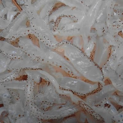 HIGH QUALITY SALTED JELLYFISH PRODUCT FROM VIET NAM  // TERESA +84971482716