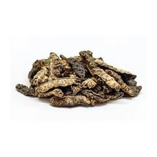 DRIED NONI FRUIT - EMBARK ON A JOURNEY OF HOLISTIC WELLNESS WITH A TROPICAL SUPERFOOD