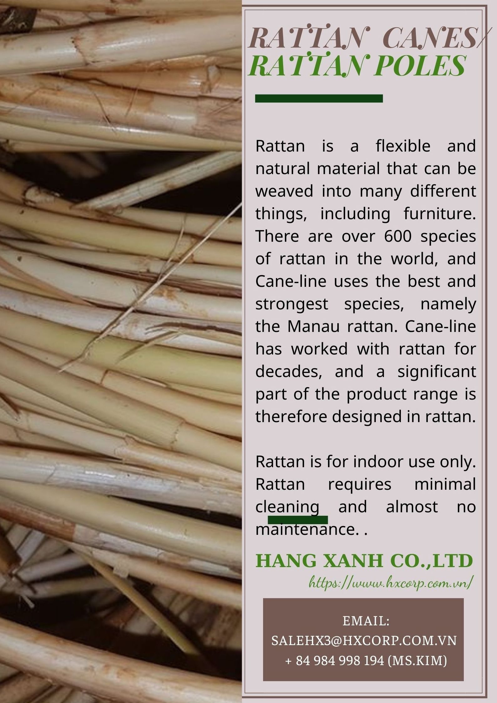 100% NATURAL RATTAN CANE POLE WITH HIGH QUALITY  MATERIAL FOR FURNITURE | +84984998194 (Ms. Kim)