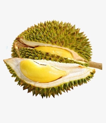 Frozen Durian Best Seller High Quality Export From Vietnam VI HUYNH