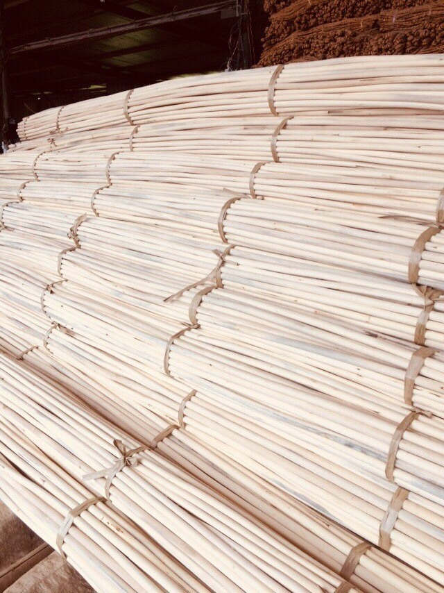 New PREMIUM QUALITY COMPETITIVE PRICE ABSOLUTELY NATURAL RATTAN CANE POLE from Vietnam | +84984998194 (Ms. Kim)