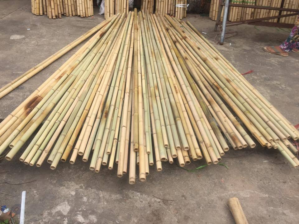 Moso Natural Big  Bamboo Poles - Teresa +84971482716