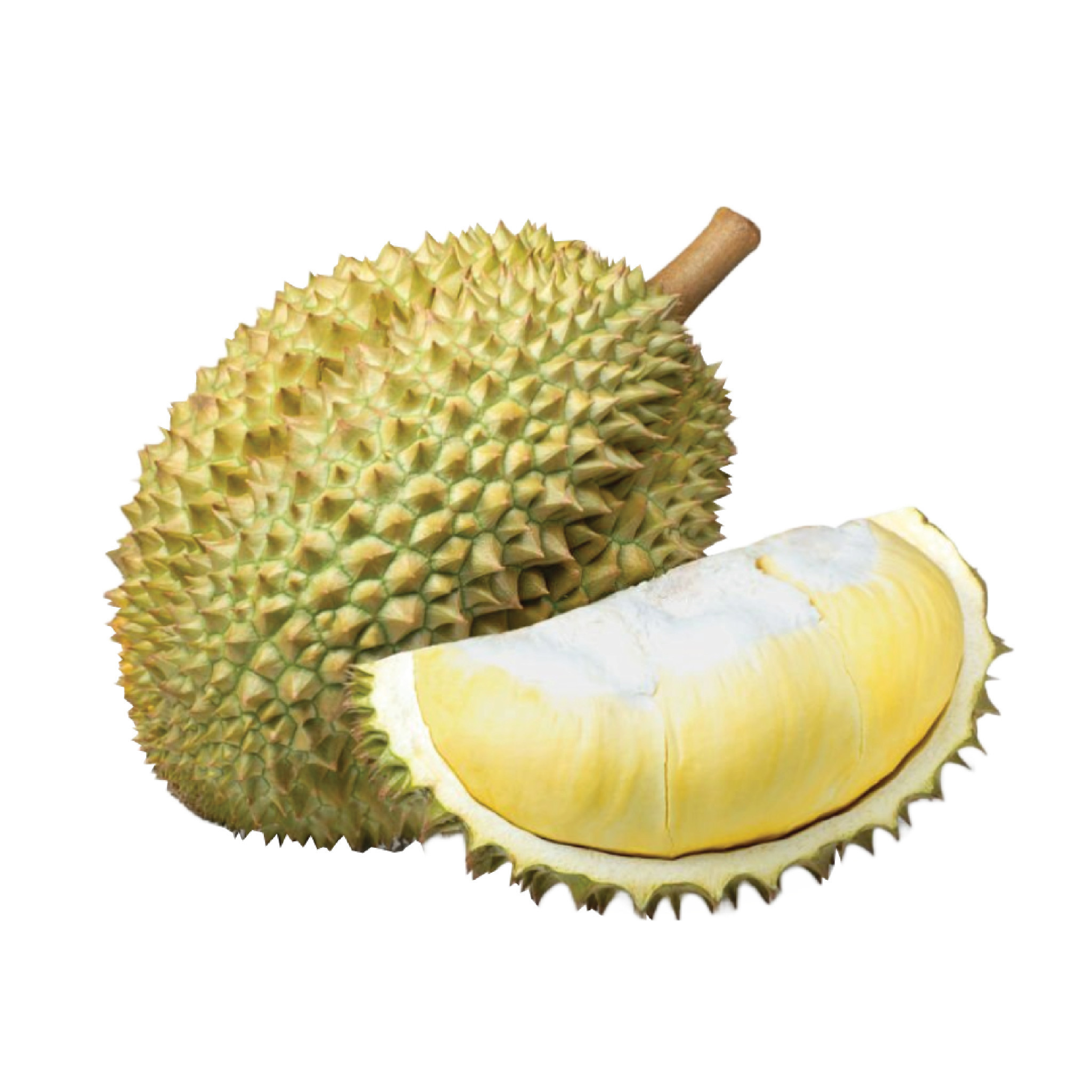 Frozen Durian Best Seller High Quality Export From Vietnam VI HUYNH