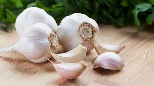 Style freezed dried diced garlic product manufacturer from Viet Nam high quality reasonable price TERESA +84971482716