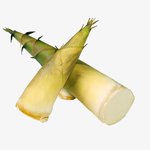 Frozen Bamboo Shoot Vegetables With High Quality And nutritious Already Exporting From Viet Nam / THOMAS +84 961 478 592