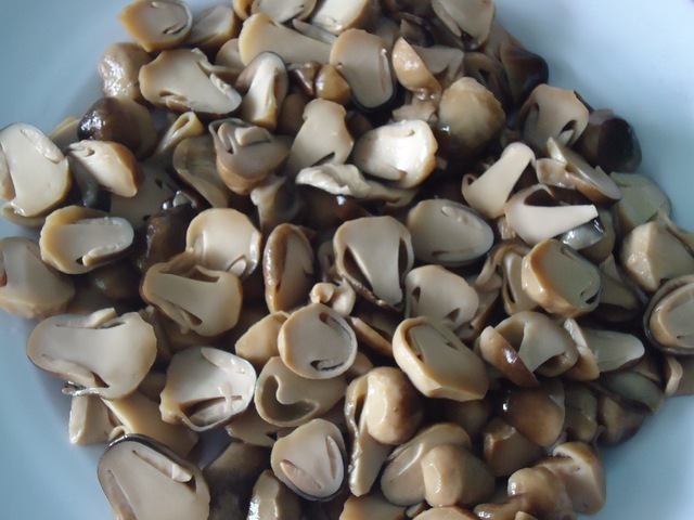 Best price of Salted straw mushroom from Viet Nam contact to +84 911 695 402