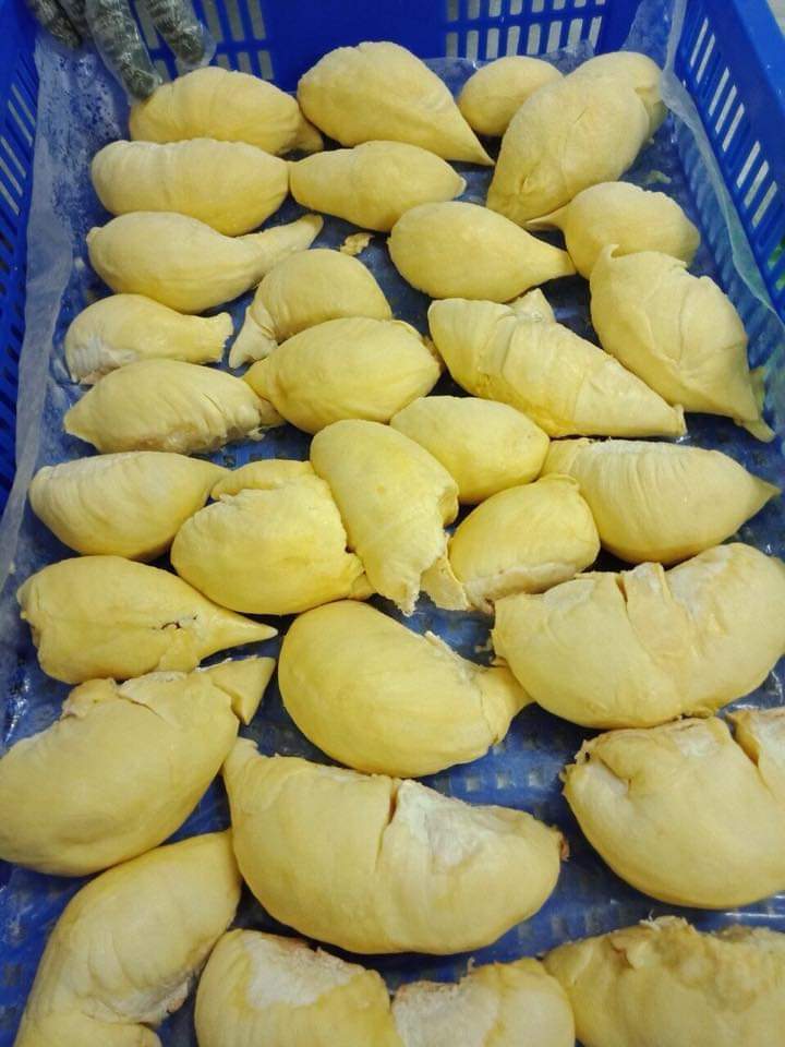 Vietnam Monthong/ri6 Durian  So Fresh Premium Quality Fresh Whole Piece durian freeze dried new season 2022 durian chips Teresa