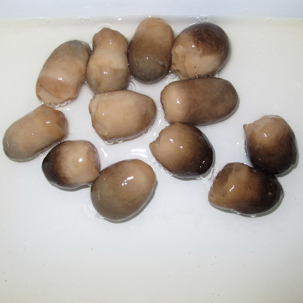 Best price of Salted straw mushroom from Viet Nam contact to +84 911 695 402