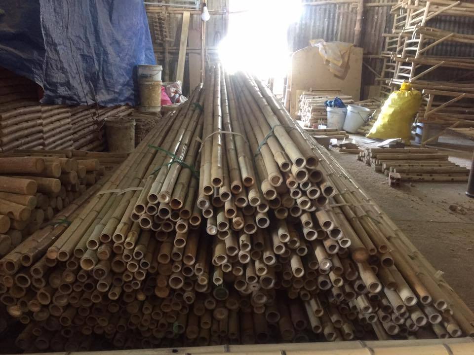 Moso Natural Big  Bamboo Poles - Teresa +84971482716