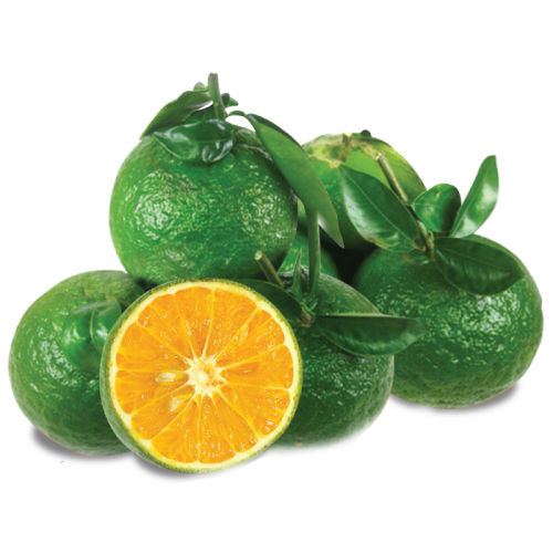 VIETNAM FRESH GREEN ORANGE / FRESH CITRUS FRUITS - TERESA +84971482716