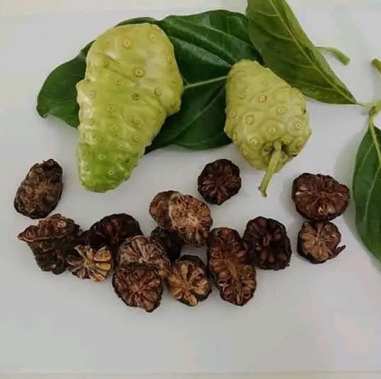 DRIED NONI FRUIT - DISCOVER THE SECRET TO NATURAL VITALITY AND LONGEVITY