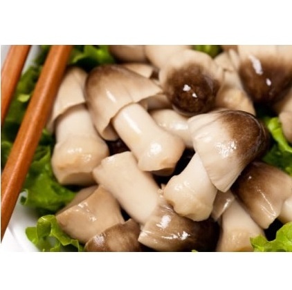 Best price of Salted straw mushroom from Viet Nam contact to +84 911 695 402