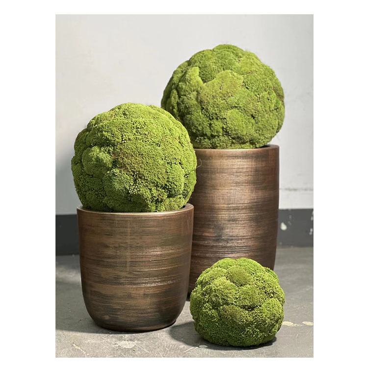 Artificial Plant Immortal Moss Ball Flower Ball Used for Wedding Garden Market Decoration