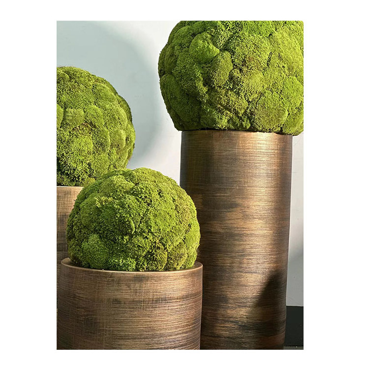 Artificial Plant Immortal Moss Ball Flower Ball Used for Wedding Garden Market Decoration