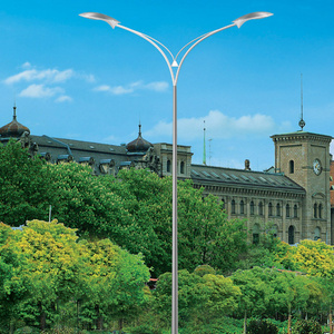 High Quality Galvanized Street lighting pole with hinged door