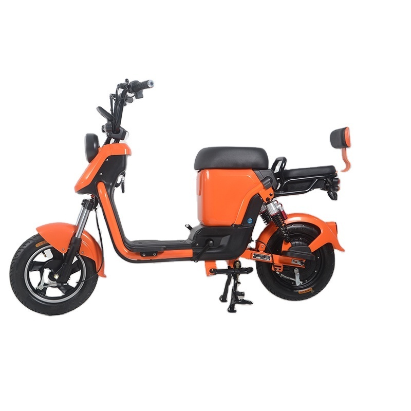 The Hottest and Best Electric Bicycle With Foldable Bike 48V Voltage Battery Removable Riding Max Range 45-55km