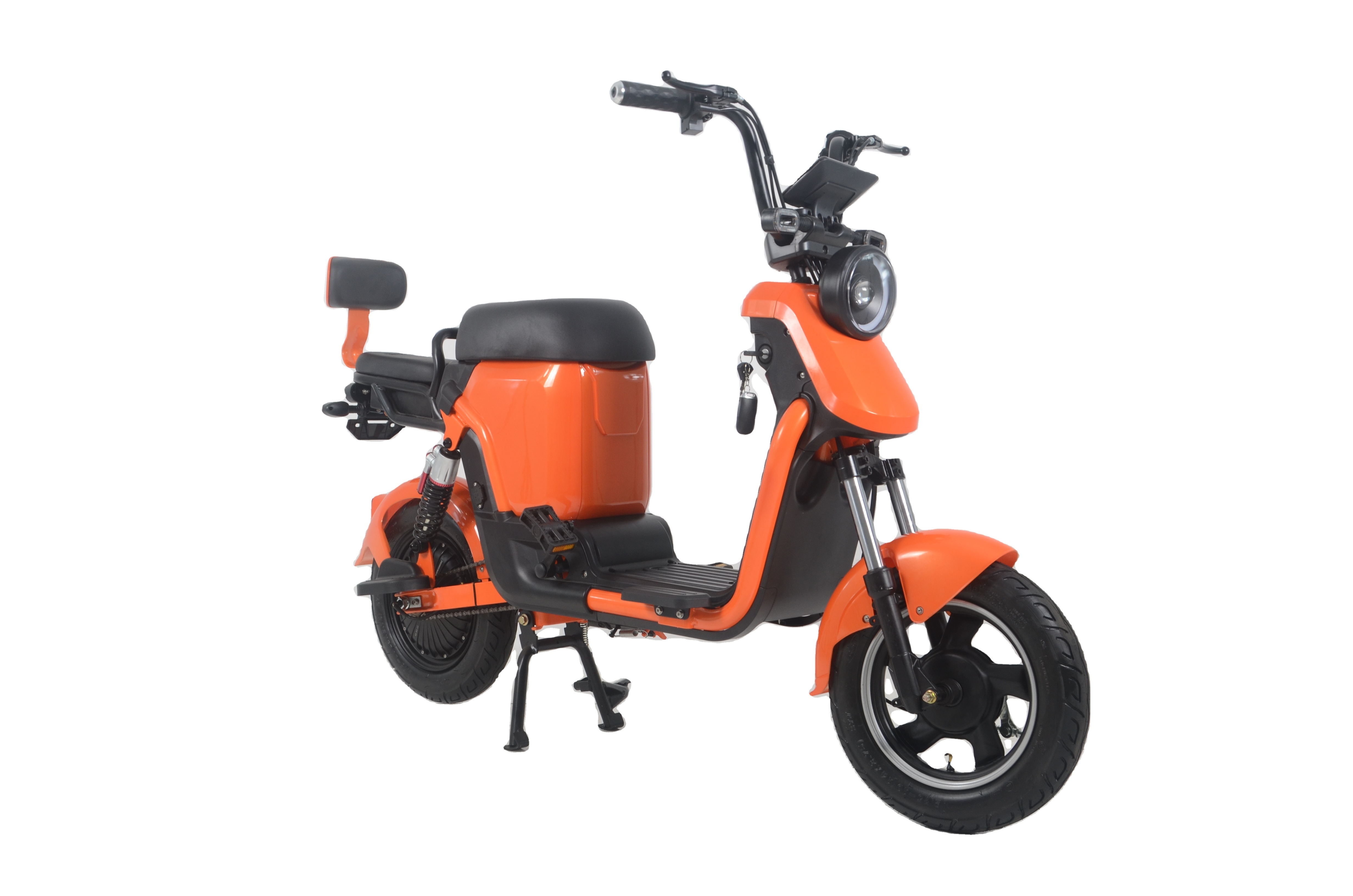 The Hottest and Best Electric Bicycle With Foldable Bike 48V Voltage Battery Removable Riding Max Range 45-55km