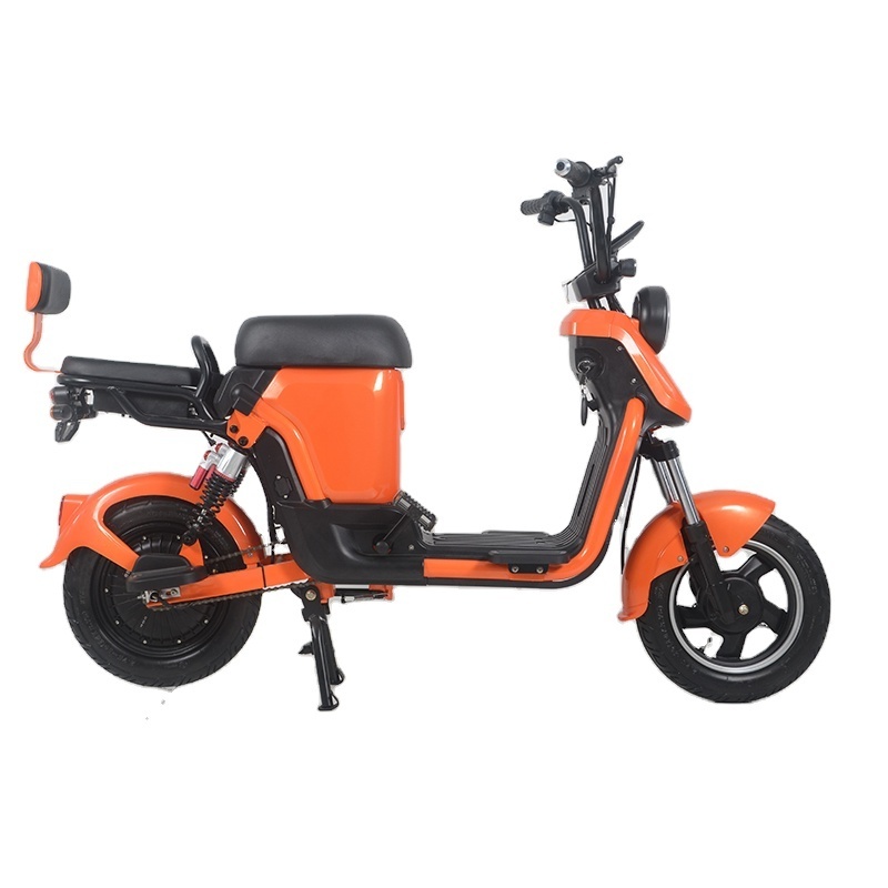 The Hottest and Best Electric Bicycle With Foldable Bike 48V Voltage Battery Removable Riding Max Range 45-55km