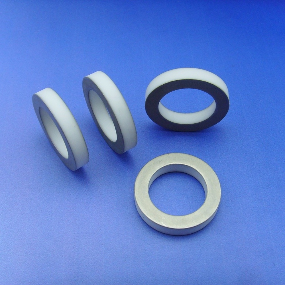 Advanced Electronic Ceramic ring 95 Al2O3 Alumina Metallized Ceramic