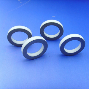 Advanced Electronic Ceramic ring 95 Al2O3 Alumina Metallized Ceramic