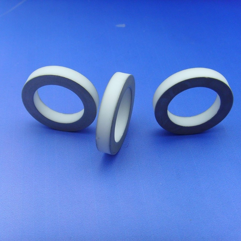 Advanced Electronic Ceramic ring 95 Al2O3 Alumina Metallized Ceramic