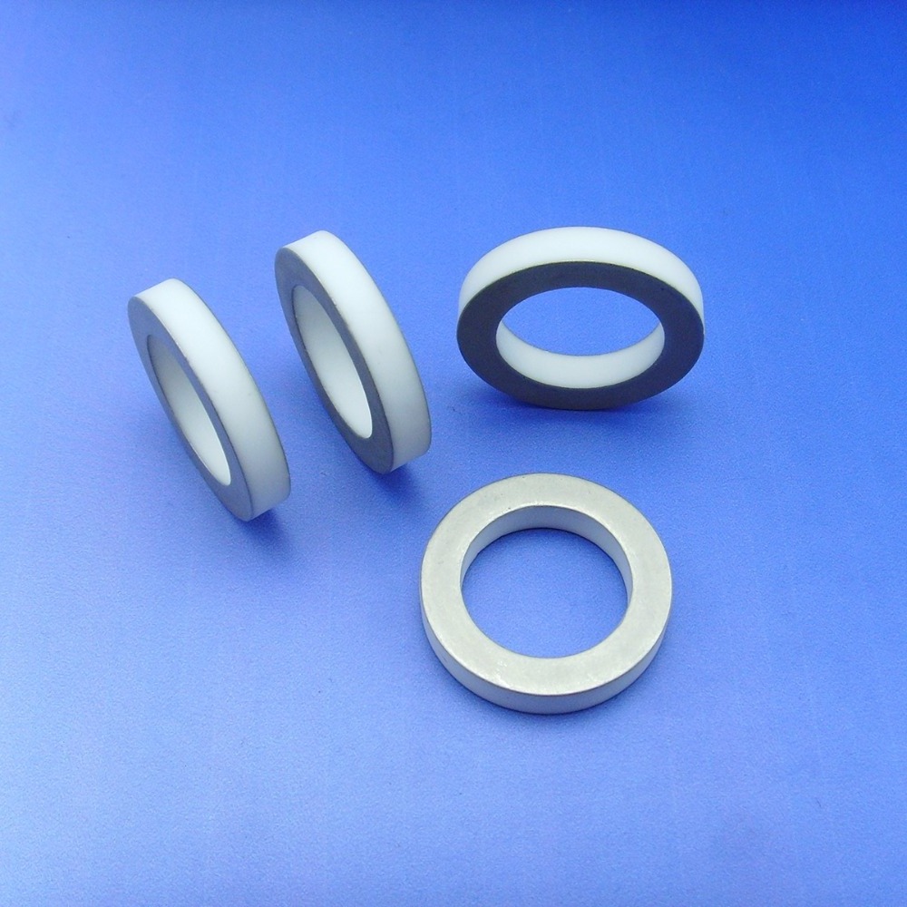 Advanced Electronic Ceramic ring 95 Al2O3 Alumina Metallized Ceramic