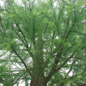 High quality Garden indoor decor artificial cedar tree branches and leaves