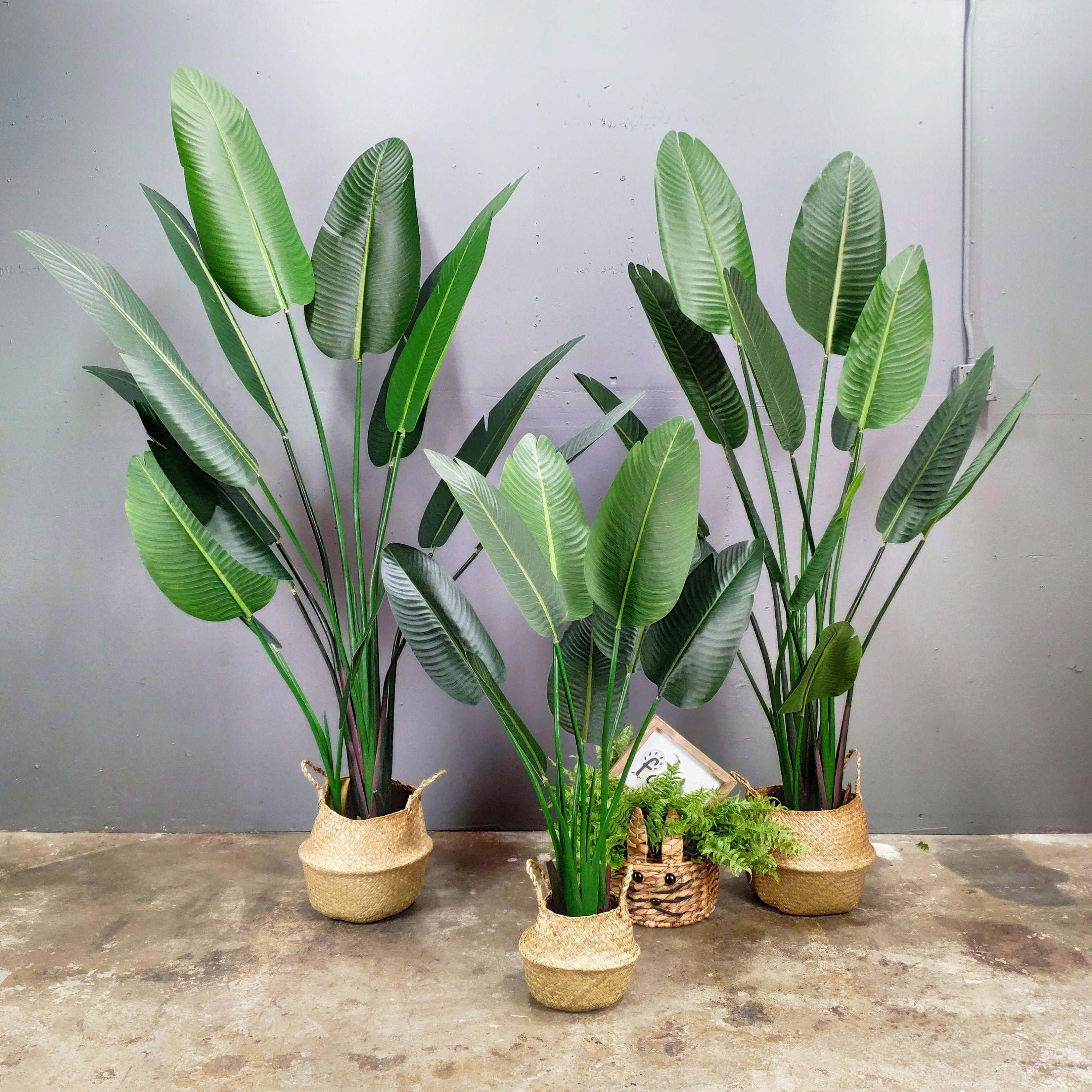 Cheap Price Of Artificial Plant faux Tree fake planta With Large Plastic Leaves For Home Hotel Office Decoration