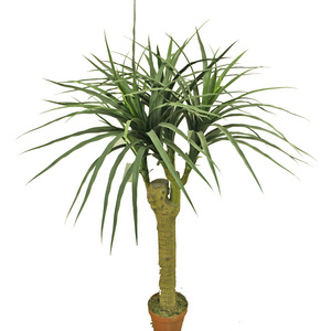 Artificial cattleya potted tree cheap potted grass for indoor