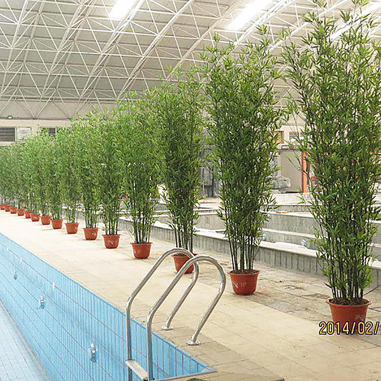 HX Artificial Plants Bamboo Poles Natural Trunks Potted Tree Internal Decoration