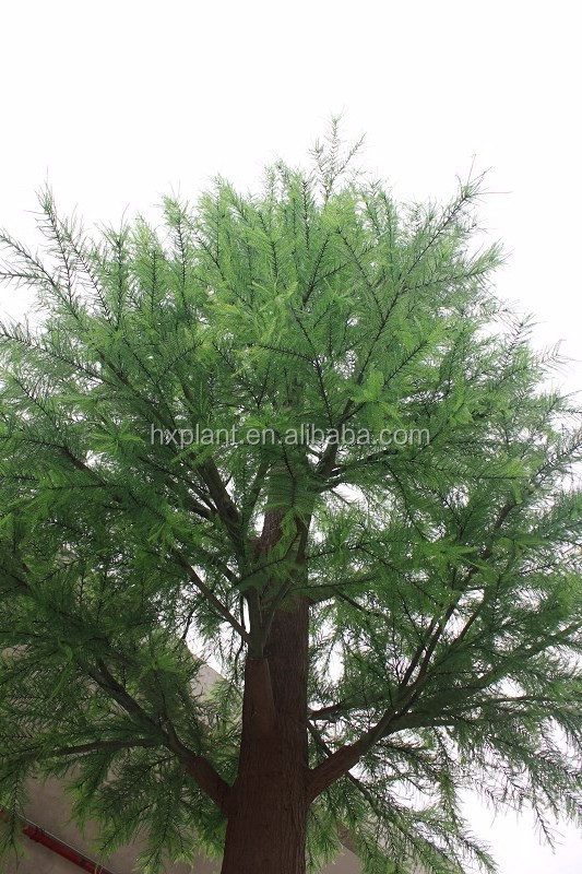 High quality Garden indoor decor artificial cedar tree branches and leaves