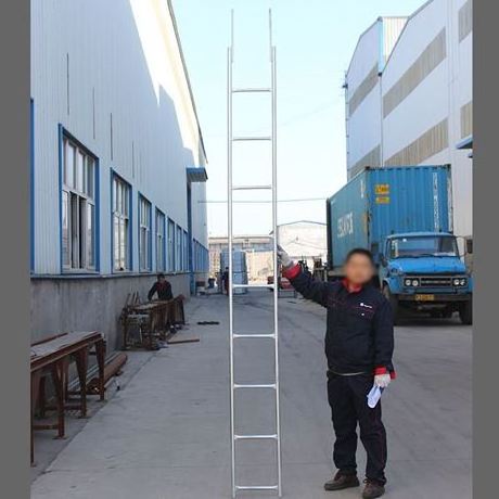 2m 3m 4m 6m construction scaffolding climb monkey ladder