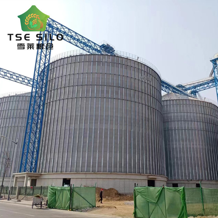 Rapeseed peanut soybean  steel flat bottom silo for oil mill