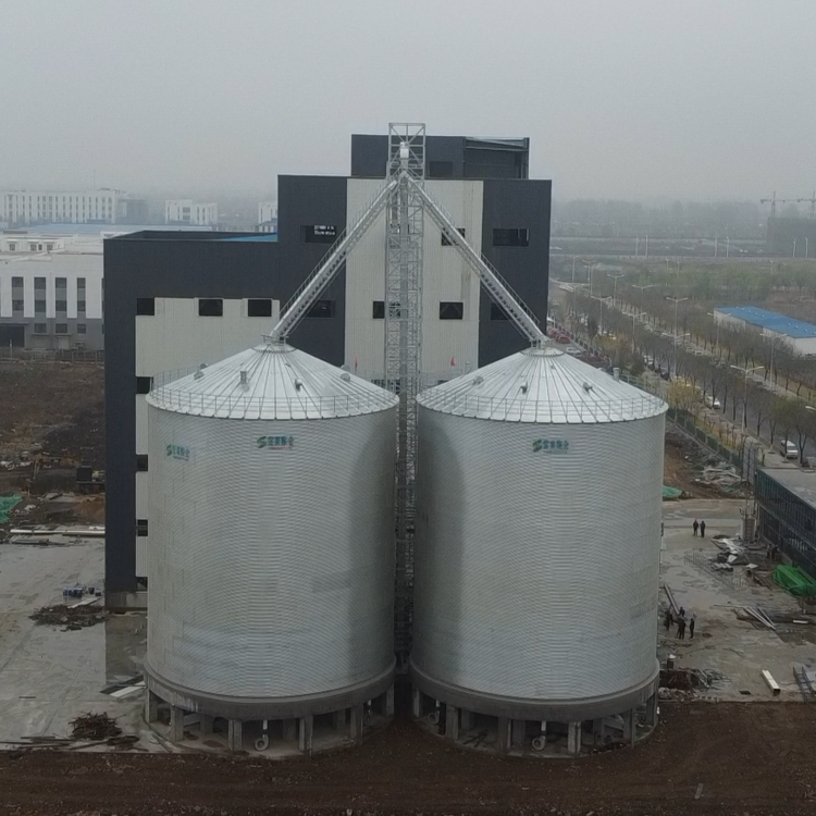 Large capacity wheat rice paddy flat bottom silo for long time storage