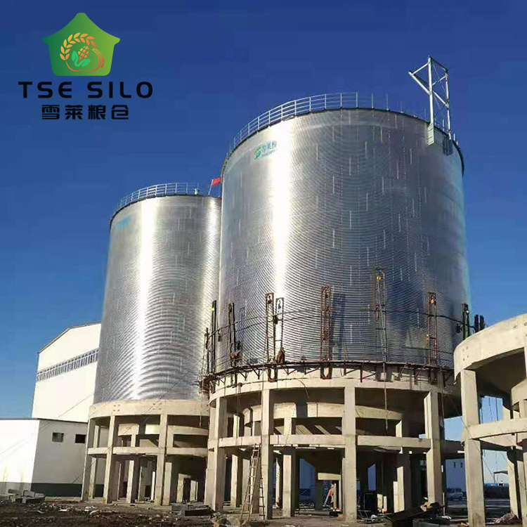 Rapeseed peanut soybean  steel flat bottom silo for oil mill