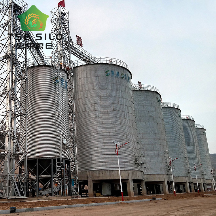 Livestock Corrugated 25000 Tons Flat Bottom Silo for Chicken Farm