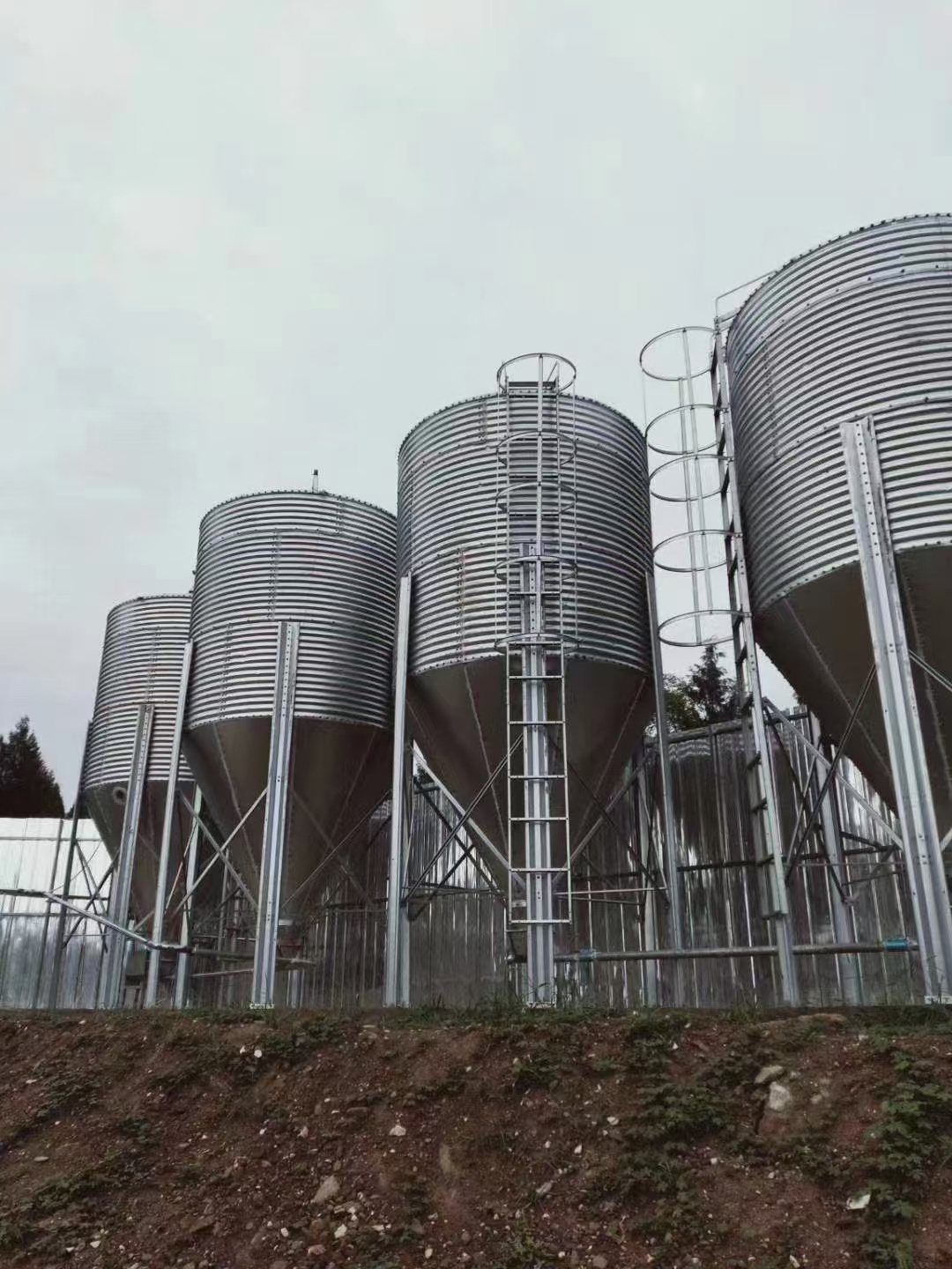 Conical silo storage hopper bottom grain feed silo 3 tons -30 tons hopper bottom steel barn for sale