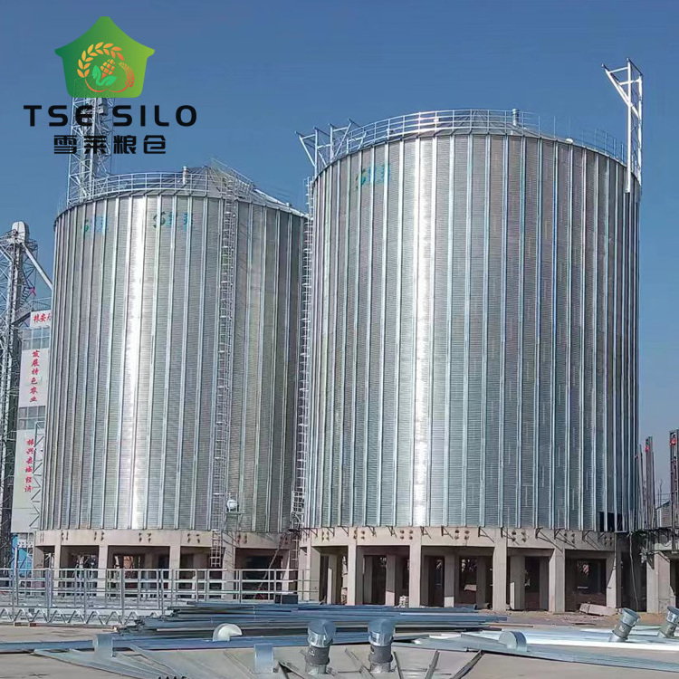 Livestock Corrugated 25000 Tons Flat Bottom Silo for Chicken Farm