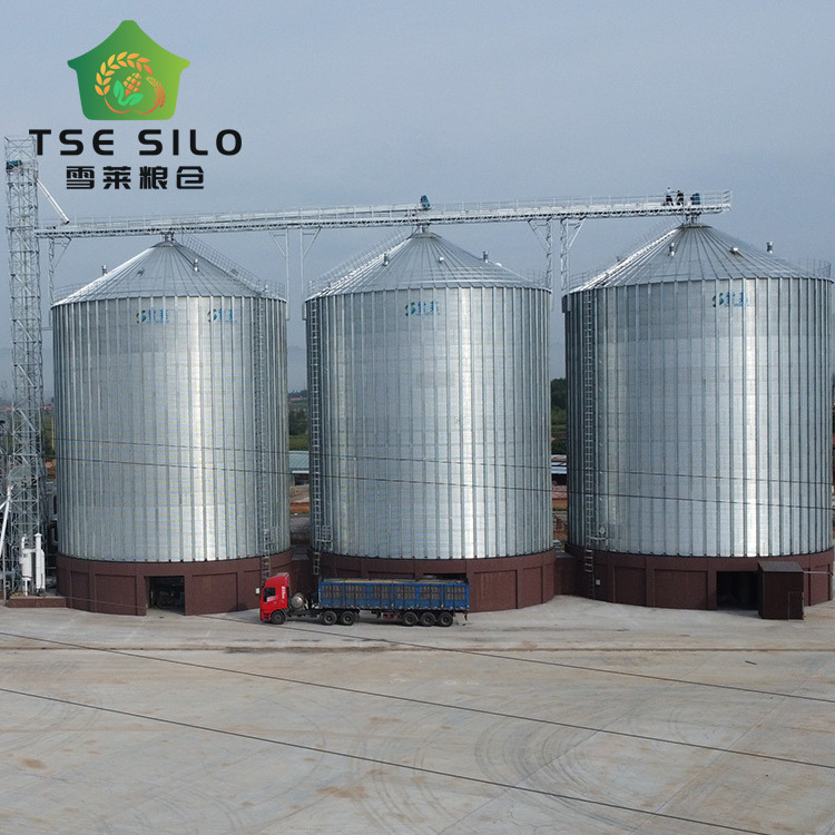 Rapeseed peanut soybean  steel flat bottom silo for oil mill