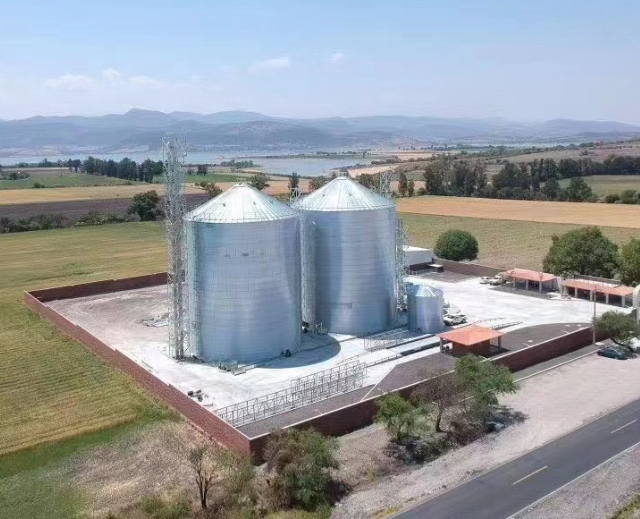 1000 2000 5000 10000 Ton wheat corn soybeans large storage capacity steel silo for grain cereal storage