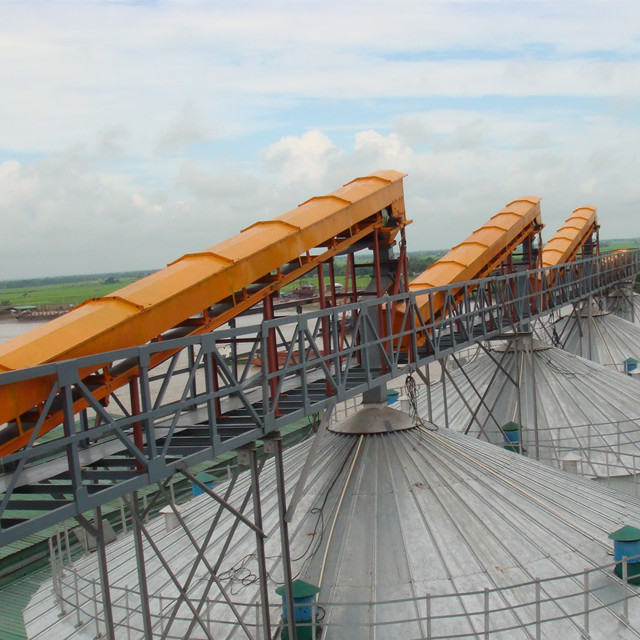 Manual conveyor belt for anto manure removal system