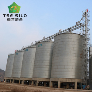 Livestock Corrugated 25000 Tons Flat Bottom Silo for Chicken Farm