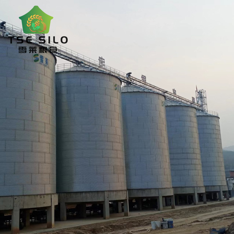 Livestock Corrugated 25000 Tons Flat Bottom Silo for Chicken Farm