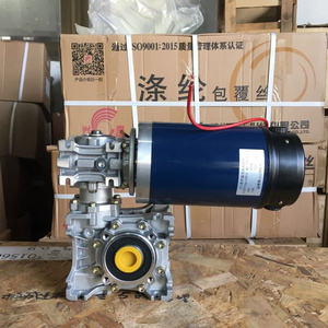 high torque 12V 24V 48VDC double worm gear motor 200W 400W 550W  double worm gearbox big ratio worm gearbox