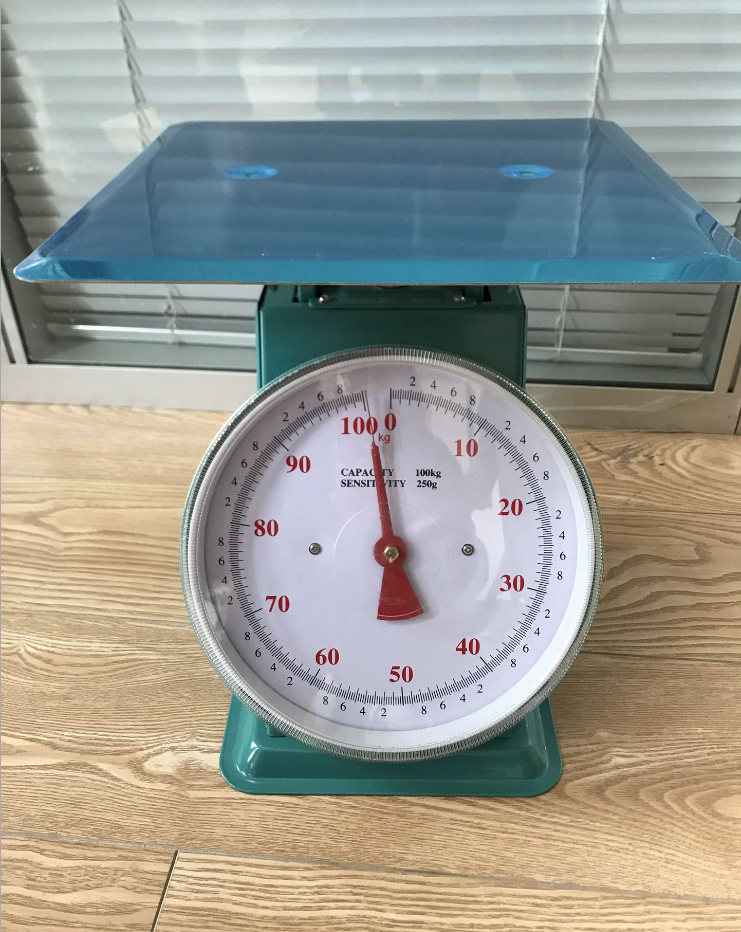 Mechanical dial scale 10kg 30kg 50kg 20kg dial mechanical weighing balance spring scale