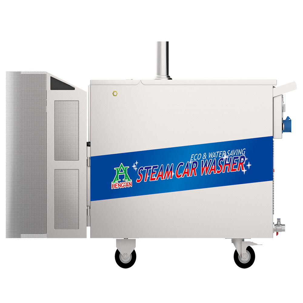 Mobile Steam Car Washer, High Pressure Portable Steam Clean Car Wash Equipment, Door to Door Washing Steam Car Wash Machine